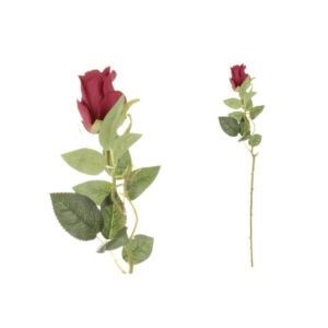 RUŽA 68 cm